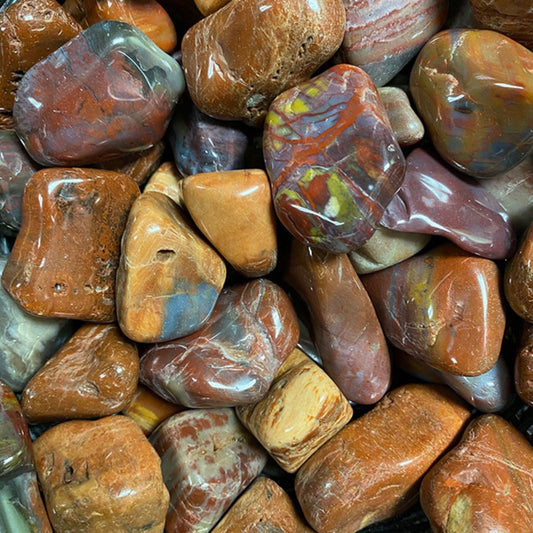 Petrified Wood Natural crystal (5pc)