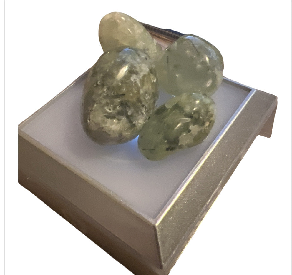 Prehnite Natural Crystal Tumbled (5pc)